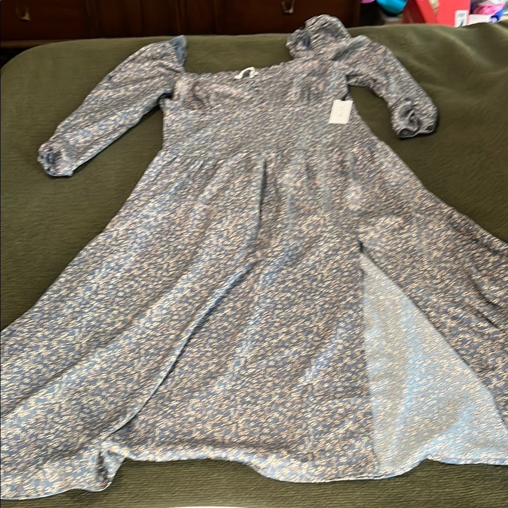 ASTR XL Blue Floral Dress (Nordstroms, NWT)